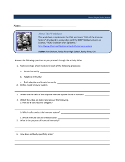 Cells of the Immune System&mdash;Student Worksheet