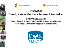 DykSMART Dykeri, Statens MAritima Resurser i