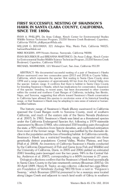 First Successful Nesting of Swainson`s Hawk in Santa
