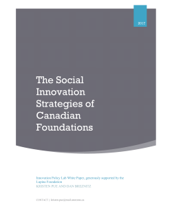 The Social Innovation Strategies of Canadian Foundations