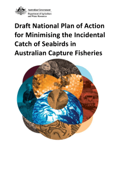 Draft National Plan of Action for Minimising the Incidental Catch of