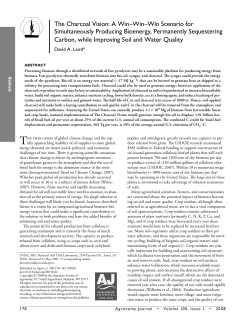 The Charcoal Vision: A Win–Win–Win Scenario for Simultaneously