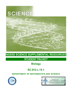 Activity 1 &ndash; Human Evolution &ndash; Skull Analysis