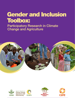 Gender and Inclusion Toolbox - CGSpace