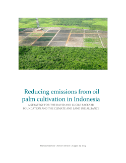 Palm Oil Strategy - The David and Lucile Packard Foundation