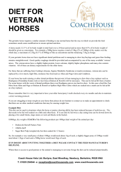 The geriatric horse requires a similar amount of feeding to any