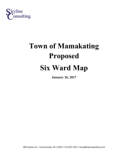 Town of Mamakating Proposed Six Ward Map