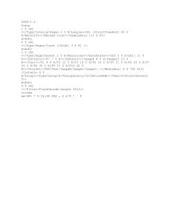 Softball Tournament/ Home Run Derby