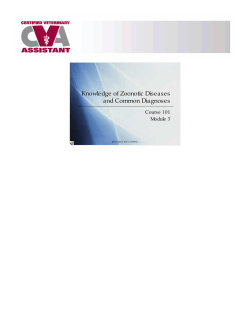 Knowledge of Zoonotic Diseases and Common Diagnoses