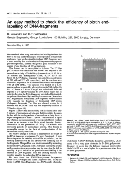 An easy method to check the efficiency of biotin end