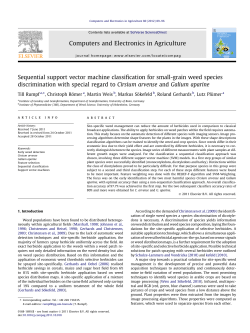 Sequential support vector machine classification for small