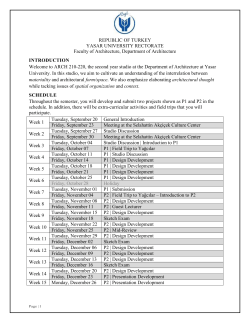 project grading criteria