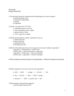 Second Quarter Biology Assessment