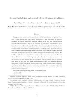 Occupational choices and network effects: Evidence