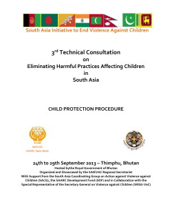 child protection focal person(s)