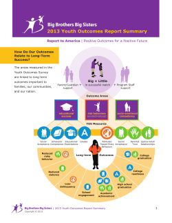 2013 Youth Outcomes Report Summary