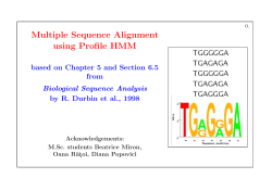 Multiple Sequence Alignment using Profile HMM
