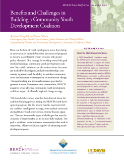 Benefits and Challenges in Building a Community Youth