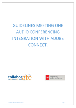 GUIDELINES MEETING ONE AUDIO CONFERENCING