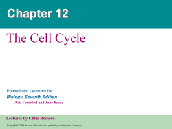 The Cell Cycle