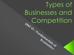 Types of Businesses and Competition