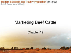 Chapter 19 - Mrs. Eggleston