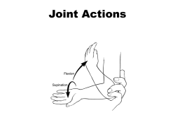Joint Actions