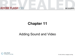 Chapter 11