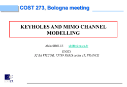 COST 273 - ENSTA ParisTech