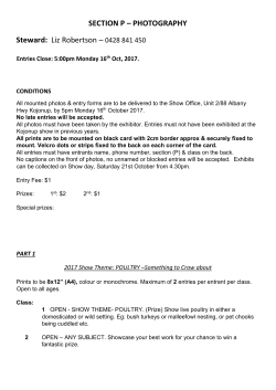 SECTION P – PHOTOGRAPHY Steward: Liz