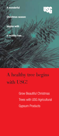 Agricultural Gypsum: A Healthy Tree Begins with USG Brochure