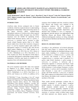 Armillaria phylogeny based on tef-1&alpha; sequences suggests ongoing