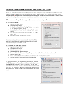 SETTING THE IE BROWSER FOR OPTIMAL PERFORMANCE