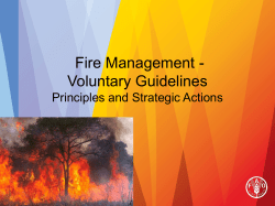 principles and strategic actions Implementation