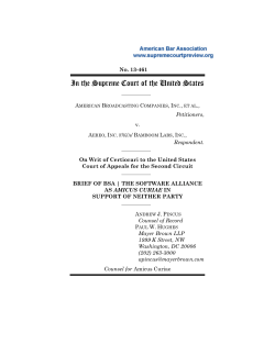 13-461 Brief for BSA the Software Alliance in Support of Neither Party