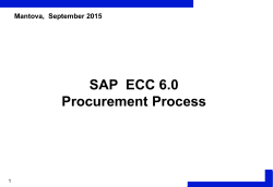 SAP ECC 6.0 - Francesco La Delia