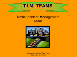 T.I.M. TEAM