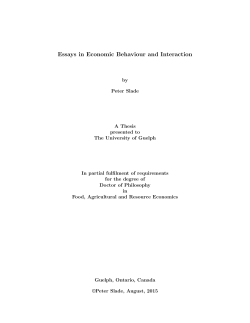 Essays in Economic Behaviour and Interaction