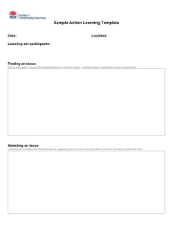 Action Learning Template