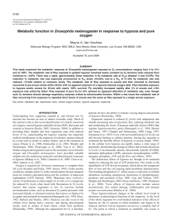 Metabolic function in Drosophila melanogaster in response to