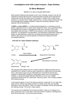Dopa Oxidase - Getting Practical