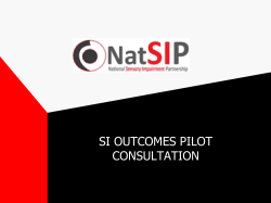 si pilot consultation