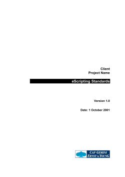 Siebel Scripting standards