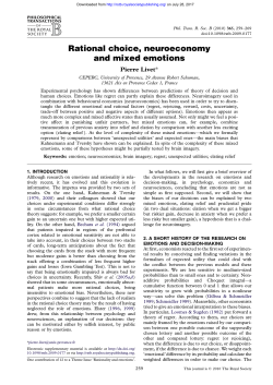 Rational choice, neuroeconomy and mixed emotions