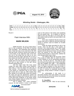 Mark Wilson, Rules Official