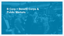 Report on the B Lab multinational and public markets initiatives.