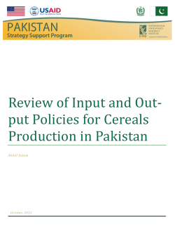 Review of Input and Output Policies for Cereals