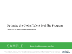 Optimize the Global Talent Mobility Program Storyboard Sample