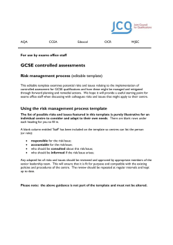 Using the risk management process template