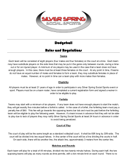 Dodge Ball - SILVER SPRING SOCIAL SPORTS